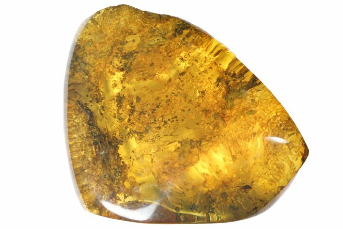 Polished Chiapas Amber ( g) - Mexico #114893